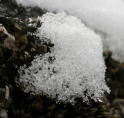 schnee