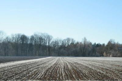 winterfeld