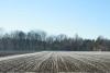 winterfeld