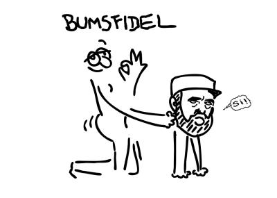 Bumsfidel