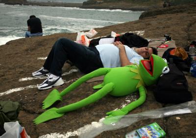 Kermit und Mert genießen die Nichtsonne und machen einen Mittagsschlaf auf den Felsen.... 