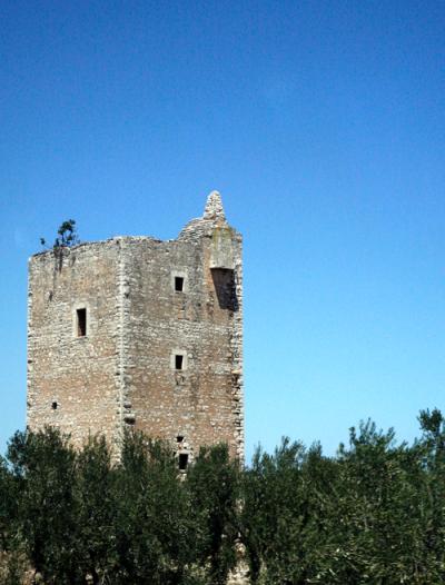 Ein Turm in einem Olivenhain in Italien Ein Turm in einem Olivenhain in Italien