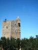 Ein Turm in einem Olivenhain in Italien