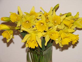 fruehling-zwei