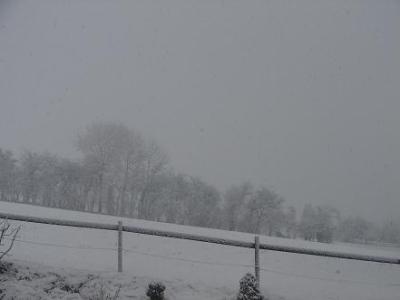 schneeflocken