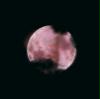 mond2