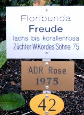 Freude