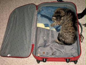 Reise2