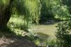 Central-Park-2