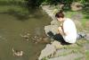 Enten