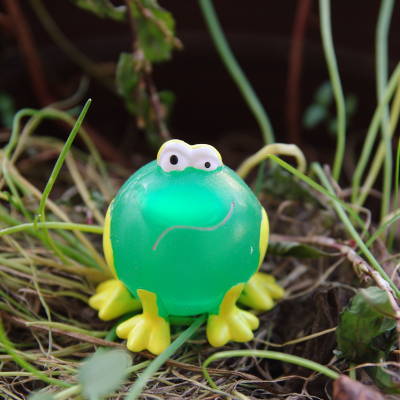 Der Froschprinz im Grün