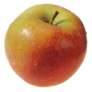 apfel-1