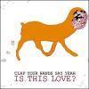 Clap Your Hands Say Yeah: Is This Love?