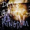 Dave Gahan: Kingdom
