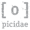 the picidae project logo