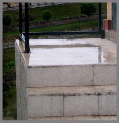 P1010006
