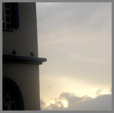 P1010007