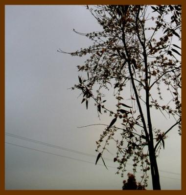 P1010021