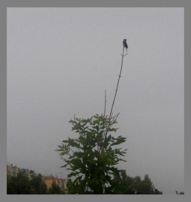 p1010010
