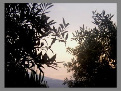 p1010012