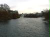 buckingham_palace_park4