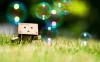 Danbo-