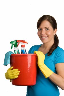 domestic-cleaning-services1
