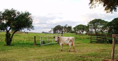 Jreut-Nadines-Freundin