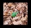 blatt6