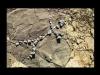 landart2