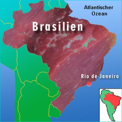 fleischland-brasilien