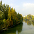 Donaukanal vor der ODS 23