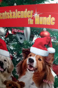 Adventkalender für Hunde