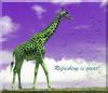 Giraffe-2
