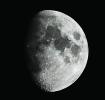 moon by adam cebula