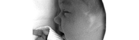 small-blog