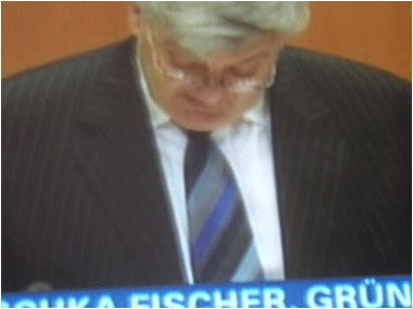 fischer454