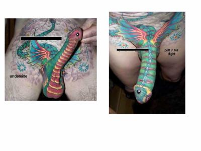dragon