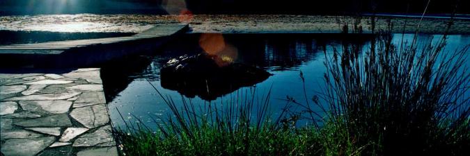 header