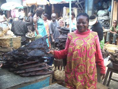 3_markt-riesenmeerschweinchen