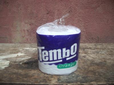 x_fehlersuchbild_tembo