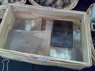 Mehrere Hornplatten in einer Spankiste