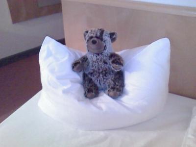 Teddy im Hotel, bequem auf einem Kopfkissen