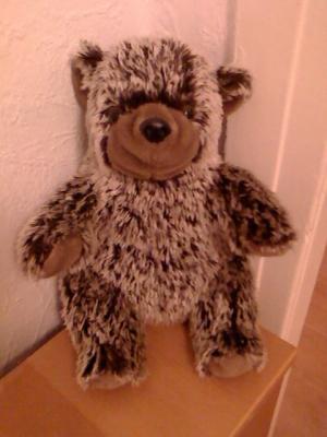 Ein Teddy Bär sitzt in der Ecke