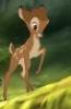 Bambi ist ein Rehlein