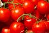 09_11_28-Tomatoes_web1