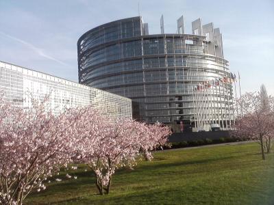 Springish-European-Parliament