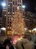 Weihnachtsbaum vor dem Rockefeller Center in NYC