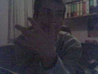 bild-82