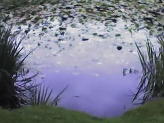 20-08-06_1258